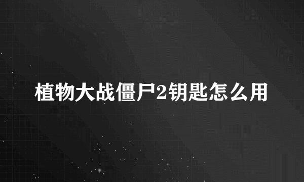 植物大战僵尸2钥匙怎么用